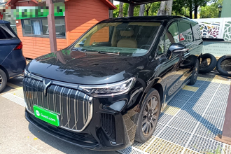 岚图汽车 岚图梦想家 2025款 EV 长续航世纪版