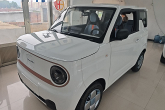 吉利银河 2024款 熊猫mini 200km 耐力熊