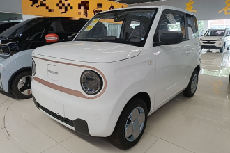 吉利银河 2024款 熊猫mini 200km 耐力熊