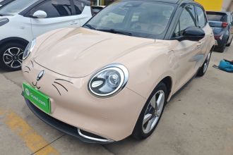 欧拉好猫 2021款 400km标准续航 维纳斯版 三元锂