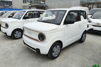 吉利银河 2024款 熊猫mini 200km 耐力熊