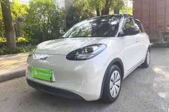 五菱汽车 五菱缤果 2023款 203km 轻享款