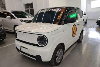 吉利银河 2023款 熊猫mini 200km 耐力熊