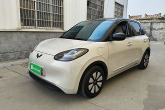 五菱汽车 五菱缤果 2023款 410km 灵犀尊享款