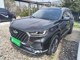 奇瑞 瑞虎8 PLUS 2022款 290TGDI DCT豪情版+