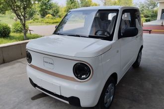吉利银河 2024款 熊猫mini 200km 耐力熊