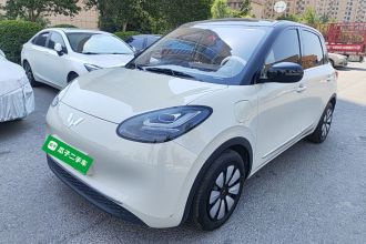 五菱汽车 五菱缤果 2024款 333km 悦享款