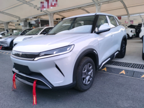 比亚迪 元UP 2025款 301KM 领航型