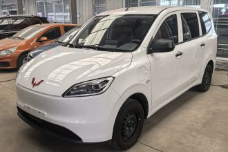 五菱汽车 五菱宏光新能源 2024款 纯电版 300KM 标准型