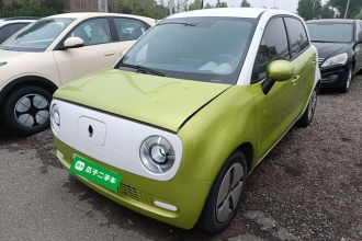 欧拉黑猫 2021款 301km 基础型