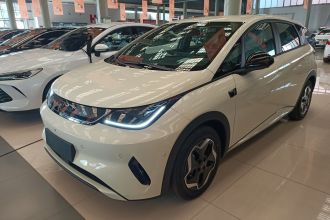 比亚迪 海豚 2025款 智驾版 420km 自由版