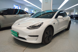 特斯拉 Model 3 2019款 标准续航后驱升级版