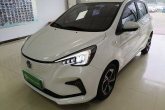 长安 奔奔E-Star 2022款 赏心版 多彩款 磷酸铁锂