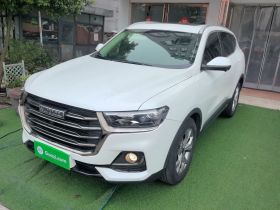 哈弗H6 2021款 国潮版 1.5T 自动冠军版