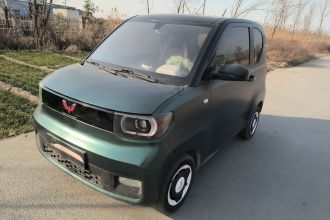 五菱汽车 宏光MINIEV 2021款 马卡龙臻享款 磷酸铁锂