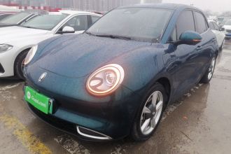 欧拉好猫 2023款 401km标准续航 豪华型 磷酸铁锂