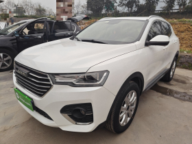 哈弗H4 2019款 1.5GDIT DCT豪华智联版 国VI