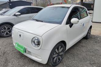 欧拉黑猫 2021款 351km 豪华型