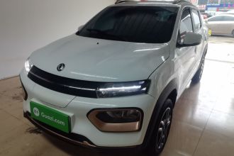 东风纳米EX1 2023款 PRO 轻风版闪电型