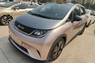比亚迪 海豚 2021款 401km 骑士版