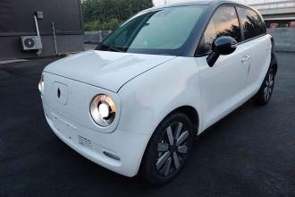 欧拉黑猫 2021款 351km 豪华型