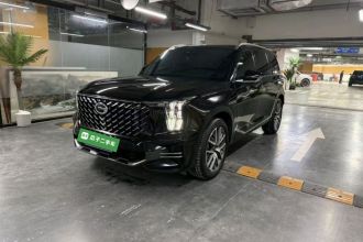 广汽传祺 传祺GS8 2022款 领航系列 2.0TGDI 两驱豪华智联版（七座）