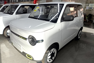 吉利银河 2025款 熊猫mini 210km 元气熊