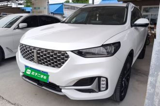 魏牌 VV6 2021款 2.0T 两驱智享+