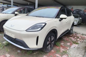 五菱汽车 缤果S 2025款 325km 尊享款