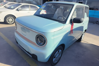 吉利银河 2024款 熊猫mini 200km 耐力熊