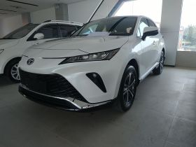 丰田 威飒 2023款 2.0L CVT两驱豪华版