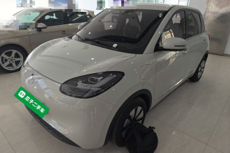 五菱汽车 五菱缤果 2024款 333km 悦享款