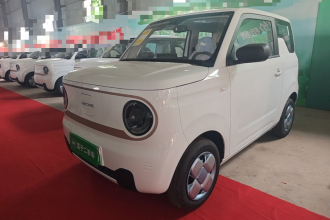 吉利银河 2024款 熊猫mini 200km 耐力熊