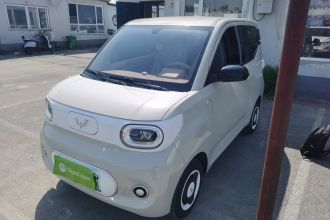 五菱汽车 宏光MINIEV 2024款 第三代 215km 青春版