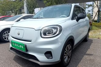 零跑汽车 零跑T03 2024款 310舒享版
