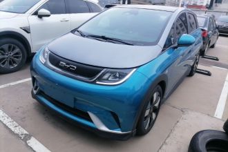 比亚迪 海豚 2021款 401km 骑士版