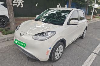 五菱汽车 五菱缤果 2023款 203km 轻享款
