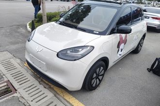 五菱汽车 五菱缤果 2023款 333km 灵犀互联+款