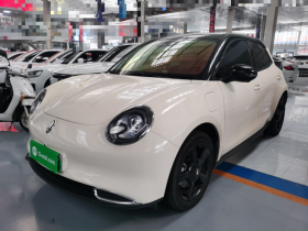 欧拉好猫 2024款 401km 豪华型