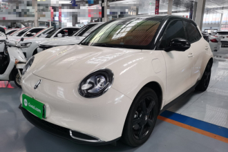 欧拉好猫 2024款 401km 豪华型