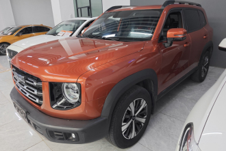 哈弗大狗 2021款 1.5T DCT两驱拉布拉多版