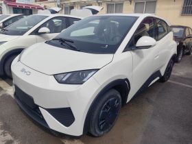 比亚迪 海鸥 2025款 智驾版 305km 活力版