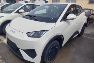 比亚迪 海鸥 2025款 智驾版 305km 活力版