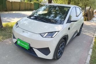 比亚迪 海鸥 2025款 智驾版 305km 自由版