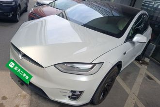 特斯拉 Model X 2019款 Performance 高性能版