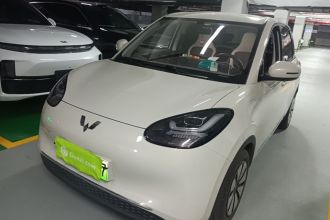 五菱汽车 五菱缤果 2024款 333km 悦享款