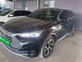 比亚迪 唐新能源 2025款 智驾版 DM-i 115KM 旗舰型