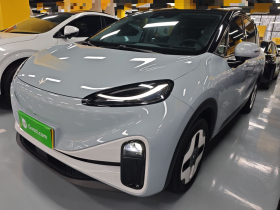 ARCFOX极狐 极狐考拉 2023款 家庭版Pro