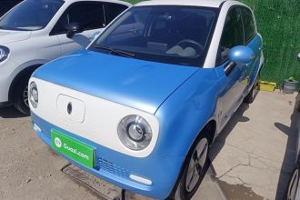 欧拉黑猫 2021款 301km 基础型