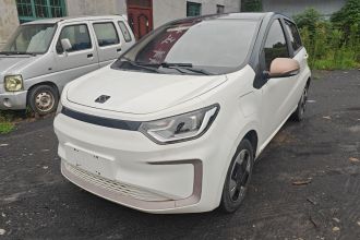 思皓 2022款 花仙子款 四叶草